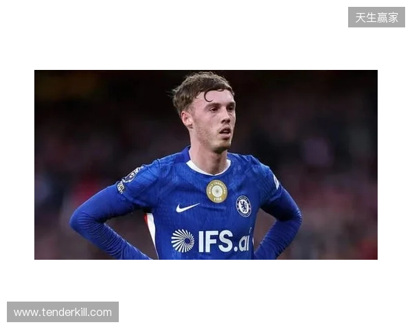 帕尔默：此前连输四场滋味并不好，赢维尔港让大家重拾好心情